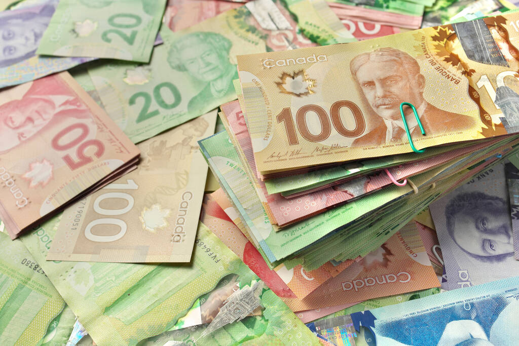加拿大央行表示经济可承受加息 通胀风险高