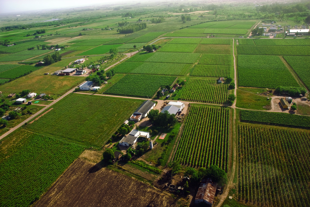 农业部：农村生产生活条件持续改善 乡村面貌焕然一新