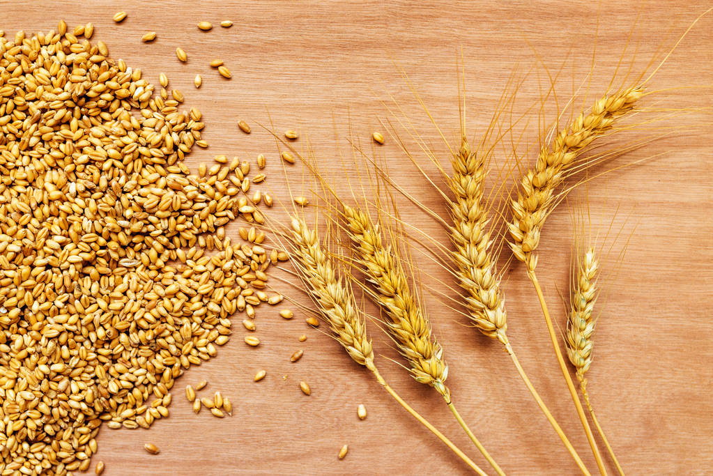 印度小麦库存锐减 供应疑虑支撑美小麦期货