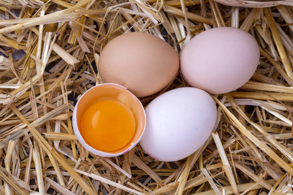 饲料成本阶梯涨价 鸡蛋维持需求旺季特征
