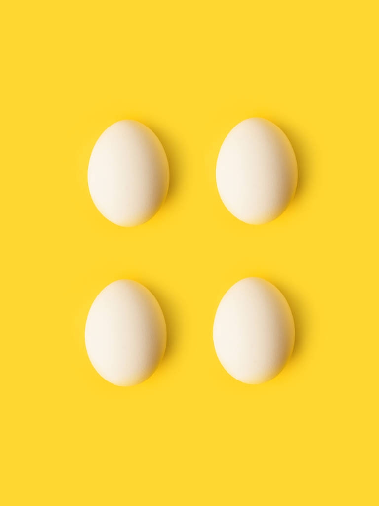 居民采购热情下降 鸡蛋期货价格相对偏低