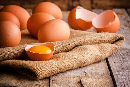 10月期间鸡蛋现货持续强势 鸡蛋期货窄幅波动