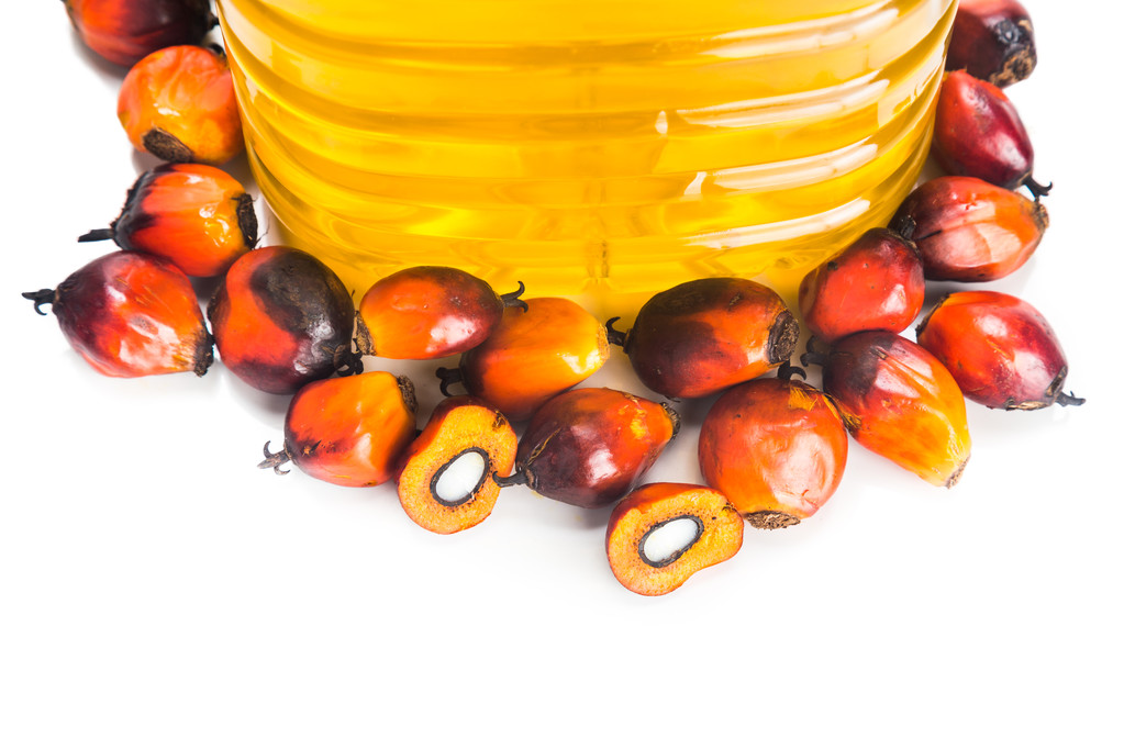 产地库存压力缓解有效 棕榈油盘面或表现偏强