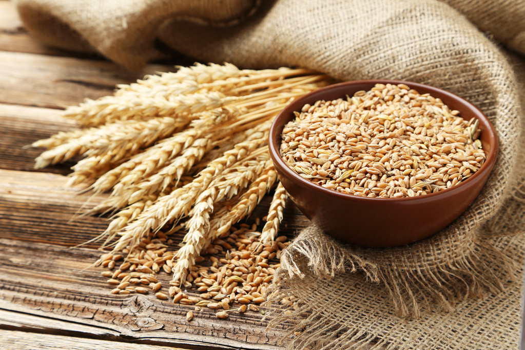 黑海谷物出口协议延长 CBOT小麦创下两个半月新低