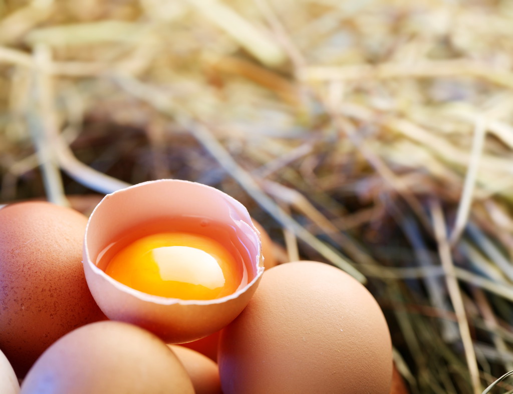 年底将是消费旺季 预计鸡蛋价格或将以震荡偏强走势为主