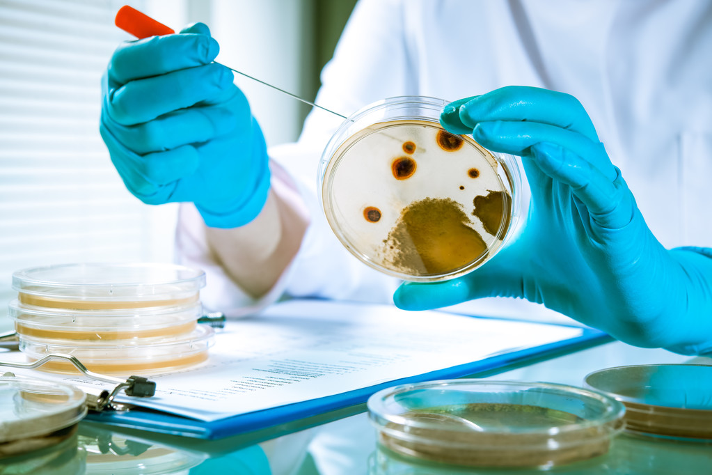 圣湘生物：百日咳杆菌核酸检测试剂取得注册证