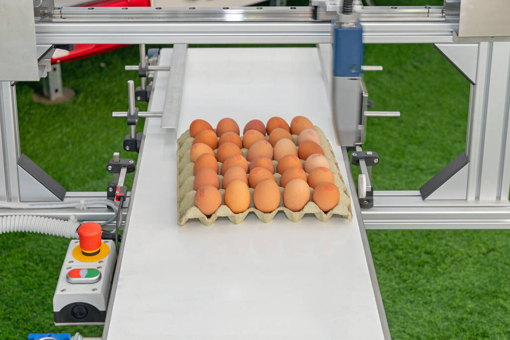 双节备货行情尚未启动 鸡蛋市场仍有望获得提振