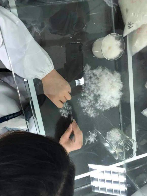 选购羽绒服应关注哪些指标？消费者应认准“绒子含量”