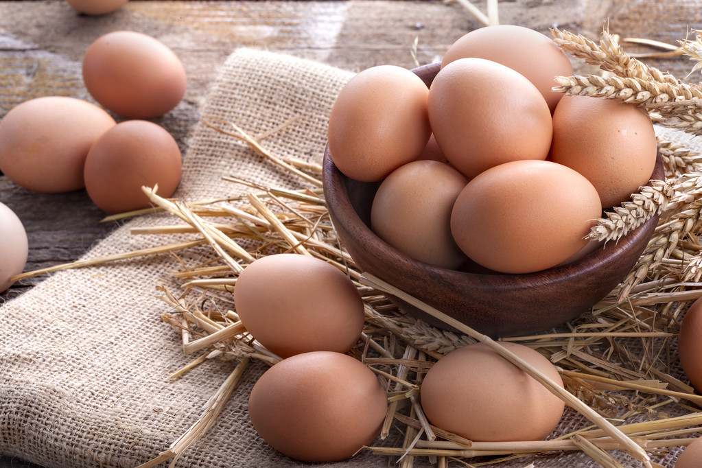 鸡蛋短期上方空间不大 关注食品企业备货情况