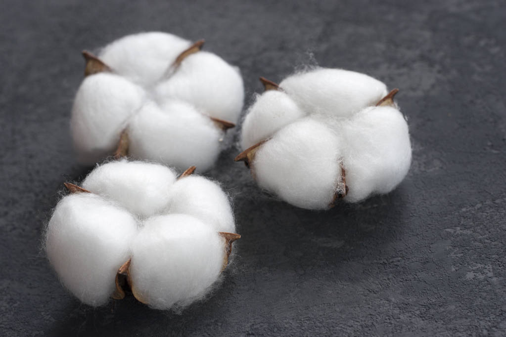 节后纺织回暖预期增强 棉花市场未来预期较好