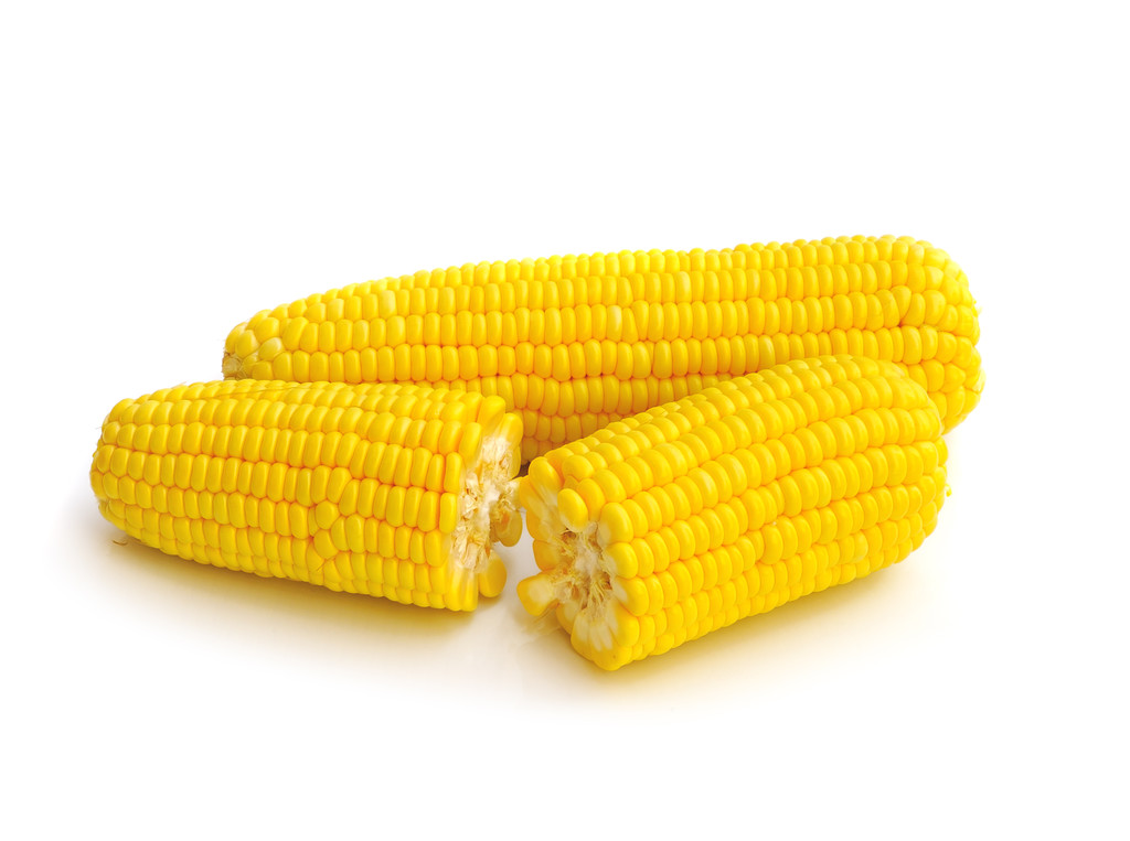 市场供强需弱 预计短期内玉米价格将小幅回落