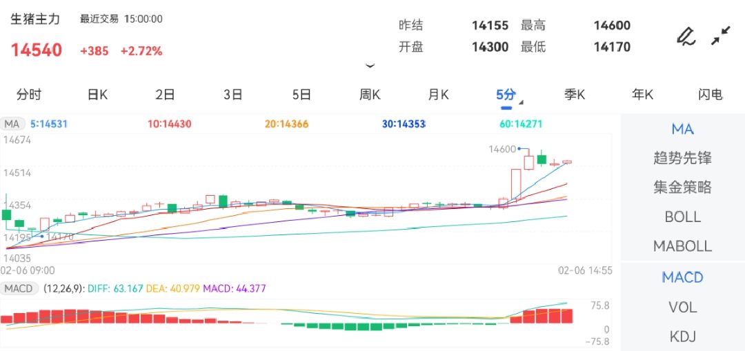 2月6日期货软件走势图综述：生猪期货主力涨2.72%