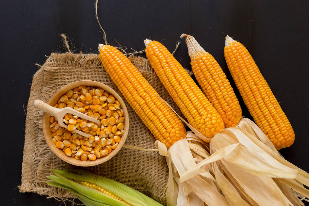 市场集中售粮忧虑较重 玉米期货回归高位震荡
