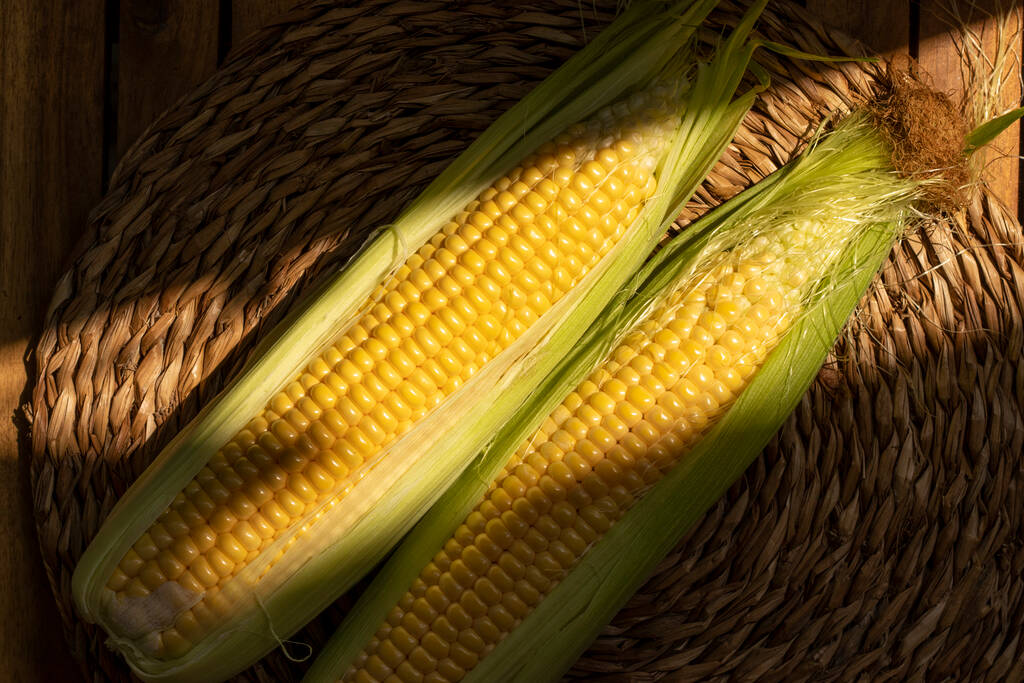 南美生产前景令人担忧 CBOT玉米仍在区间震荡