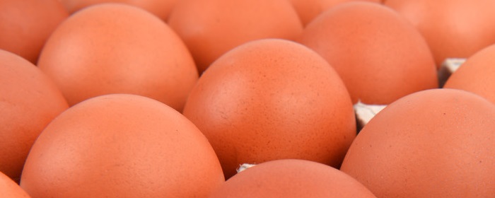 鸡蛋期货的单位是什么