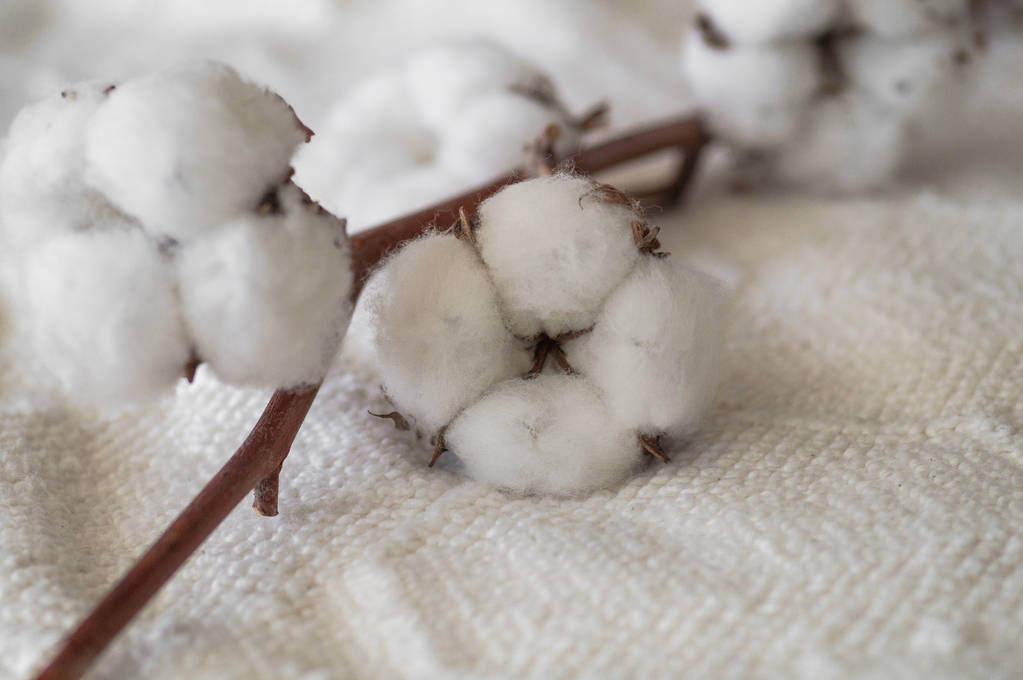 纯棉纱市场交投一般 棉花短期进入震荡走势