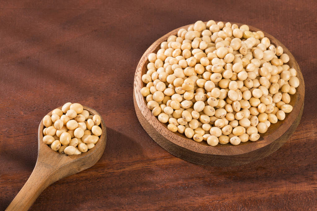 巴西大豆出现储存难题 美豆价格触及支撑位