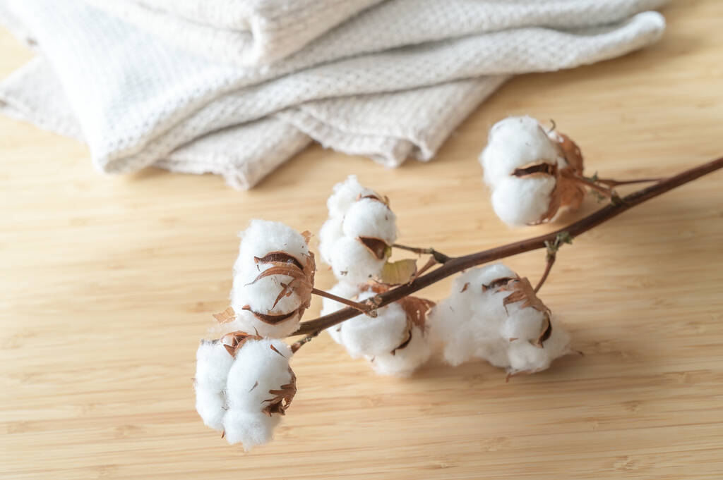 外棉进口量维持低位 棉花缺乏明显上涨驱动