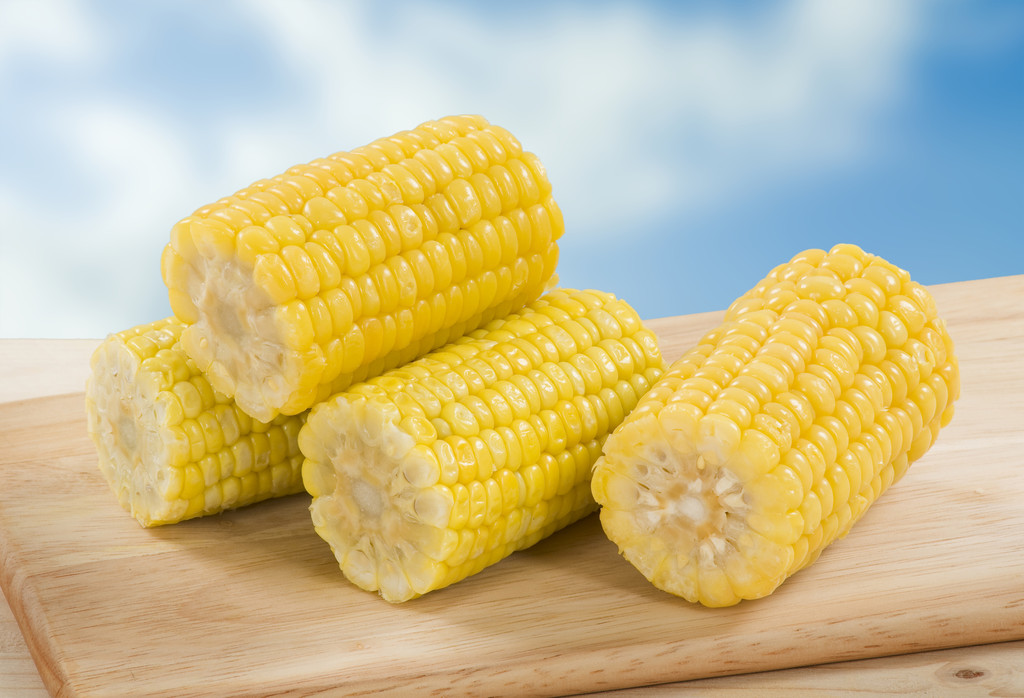 美玉米出口数据不佳 玉米市场以现货预期为主