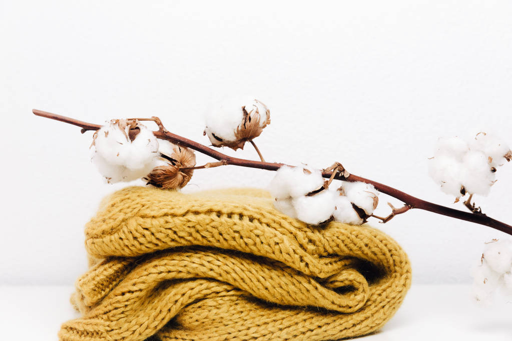 棉农植棉意愿降低 棉花中短期保持强势