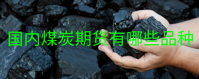 国内煤炭期货有哪些品种