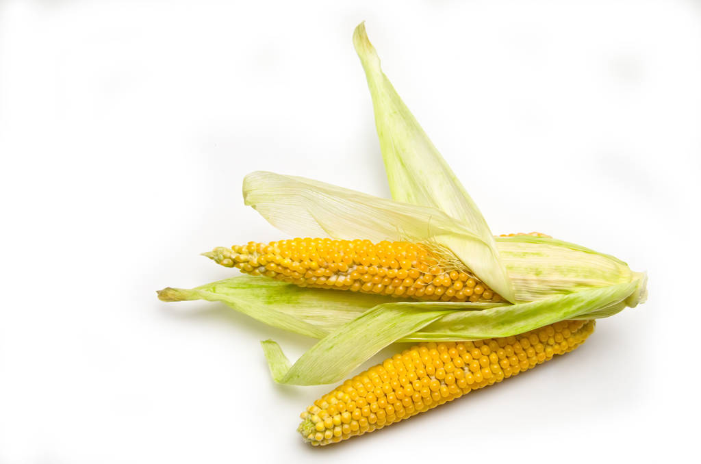 供应压力减少 玉米期价短期或回归窄幅震荡