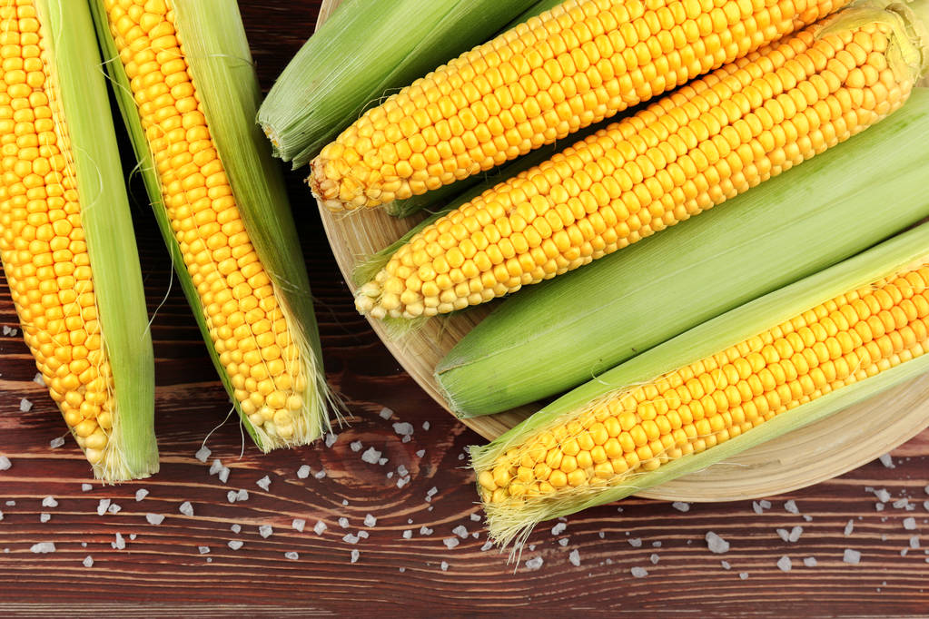 小麦停拍修正市场预期 玉米期货进入支撑区间
