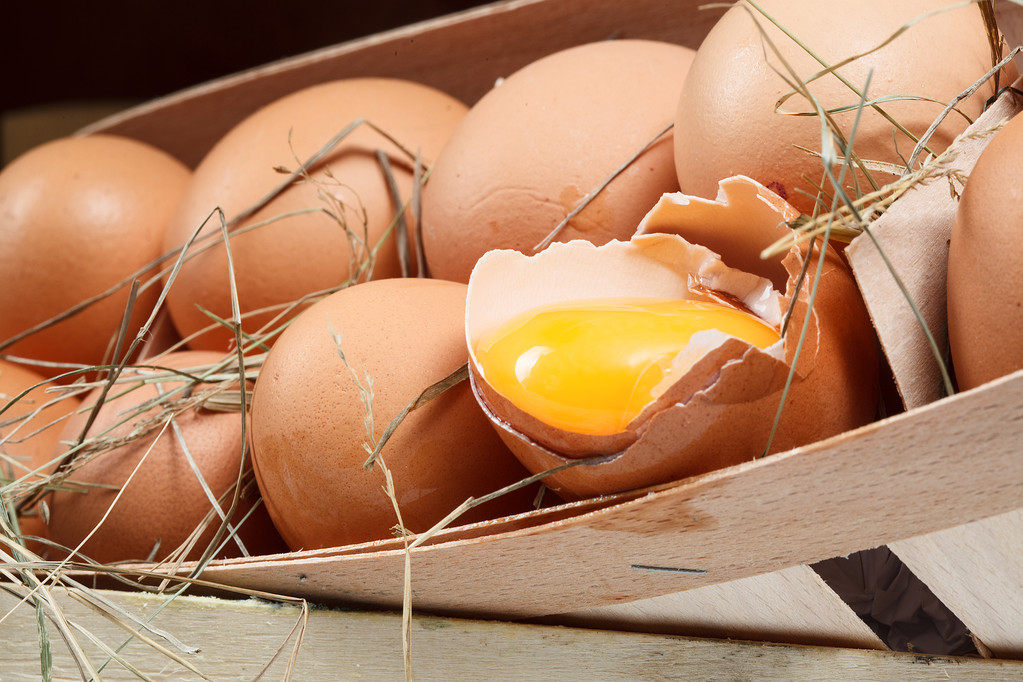 鸡蛋价格受拖累走低 关注饲料原料下跌风险