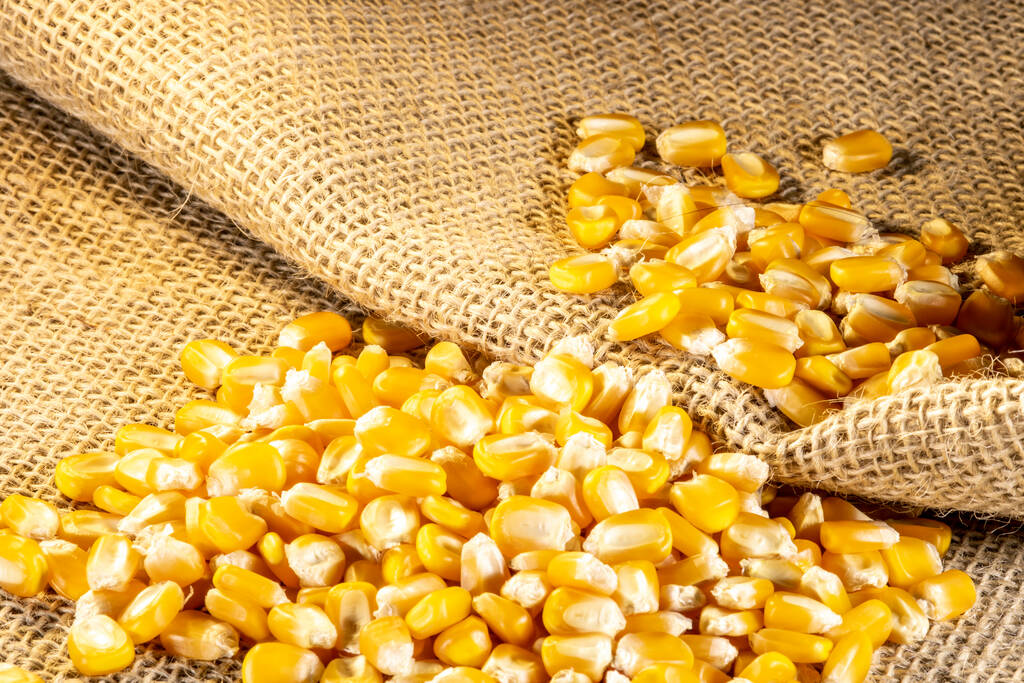 短期内需求增长有限 玉米进入趋势下行周期不变