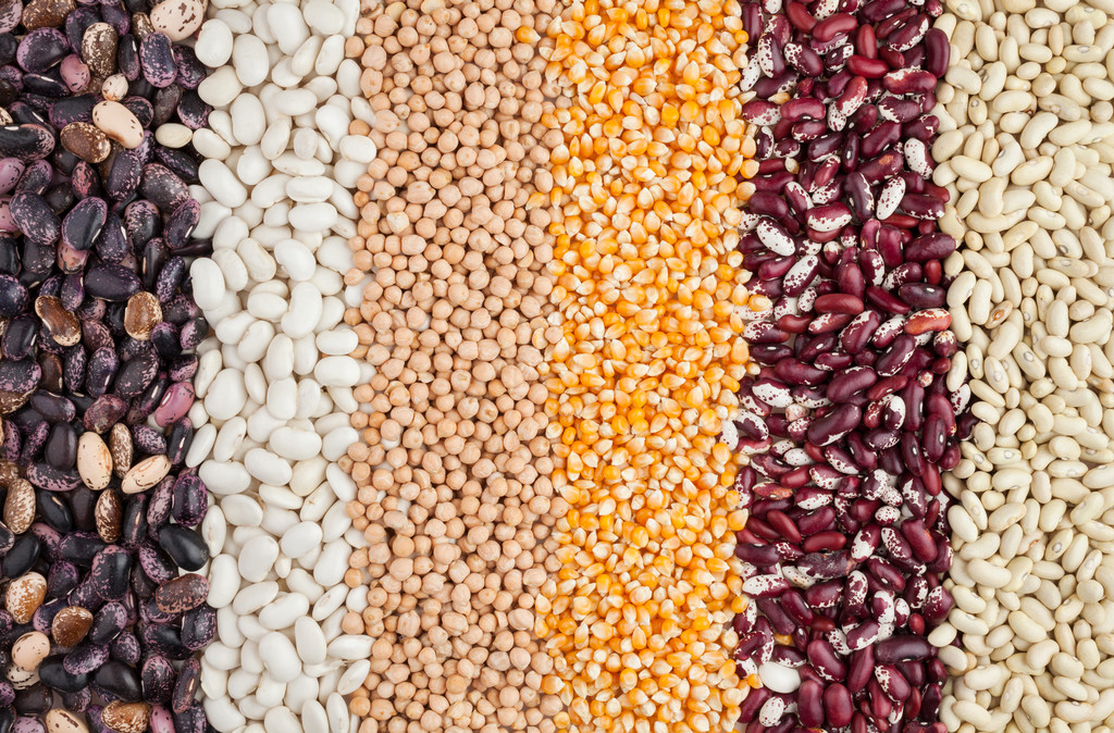 玉米和大豆价格面临美国供应前景压力