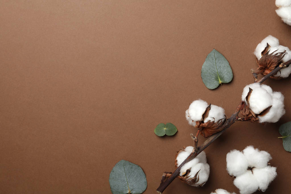 市场普遍呈乐观态度 短期棉花期货维持反弹思路