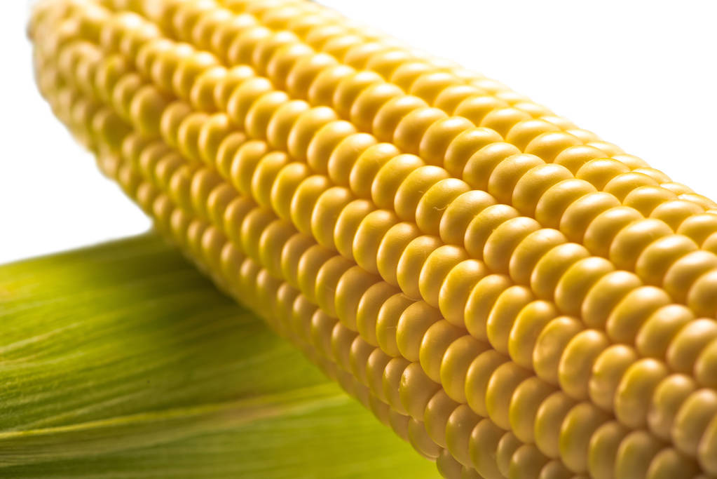 玉米短期或震荡偏强 外盘价格回升带来支撑