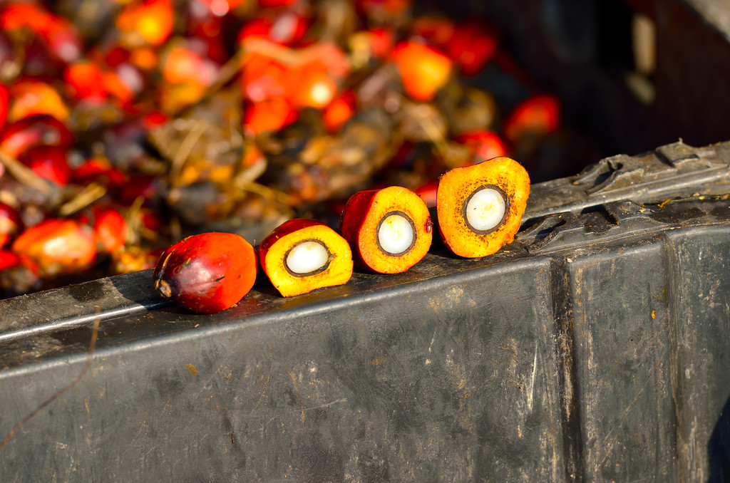 棕榈油出口相对疲弱 产地中期或有累库存预期