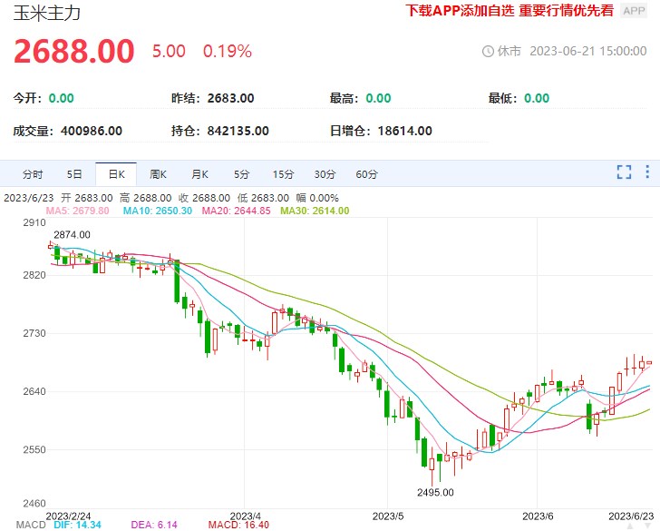 玉米期货或反弹行情 关注阶段性补库需求变化