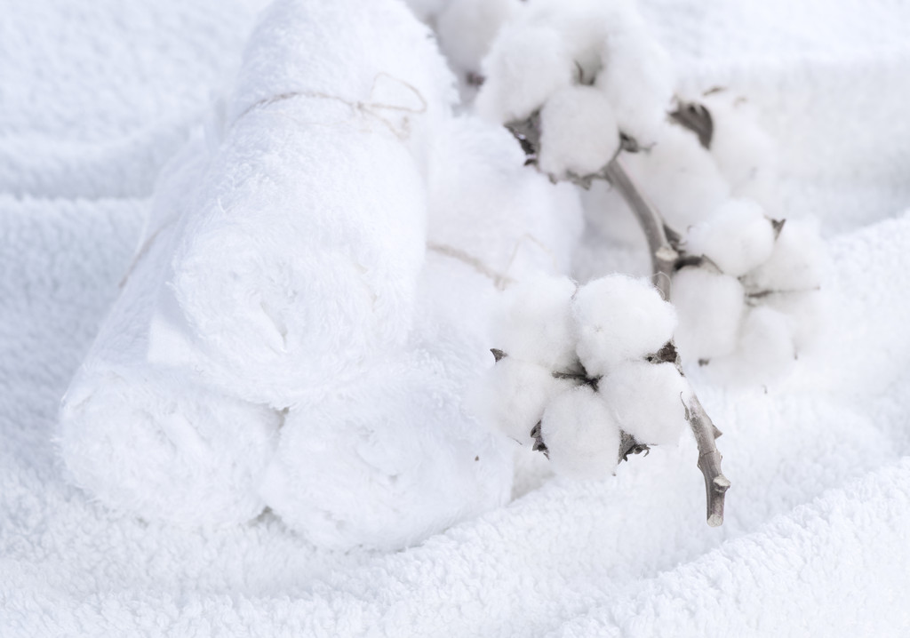棉花主力周K线收三连阳 用棉企业消费量提高