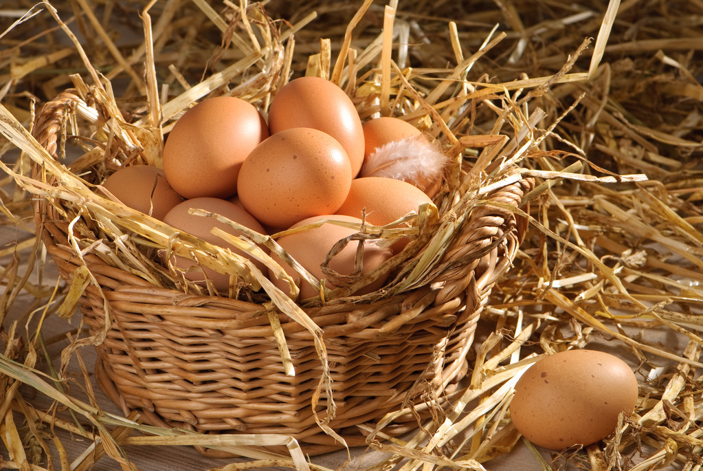 库存端有所下降 短期预计鸡蛋期价仍将震荡运行