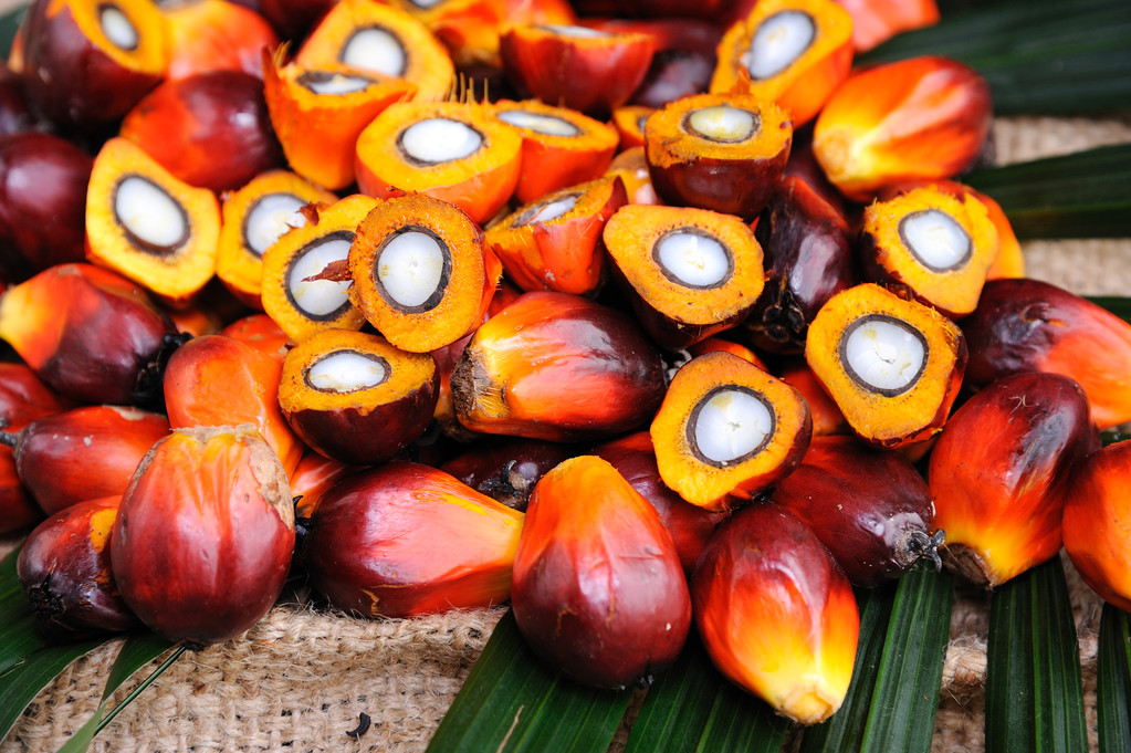 棕榈油或将强于豆油 国内油脂压力边际缩小