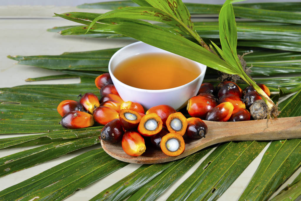 下游需求表现一般 短期棕榈油将走势偏弱