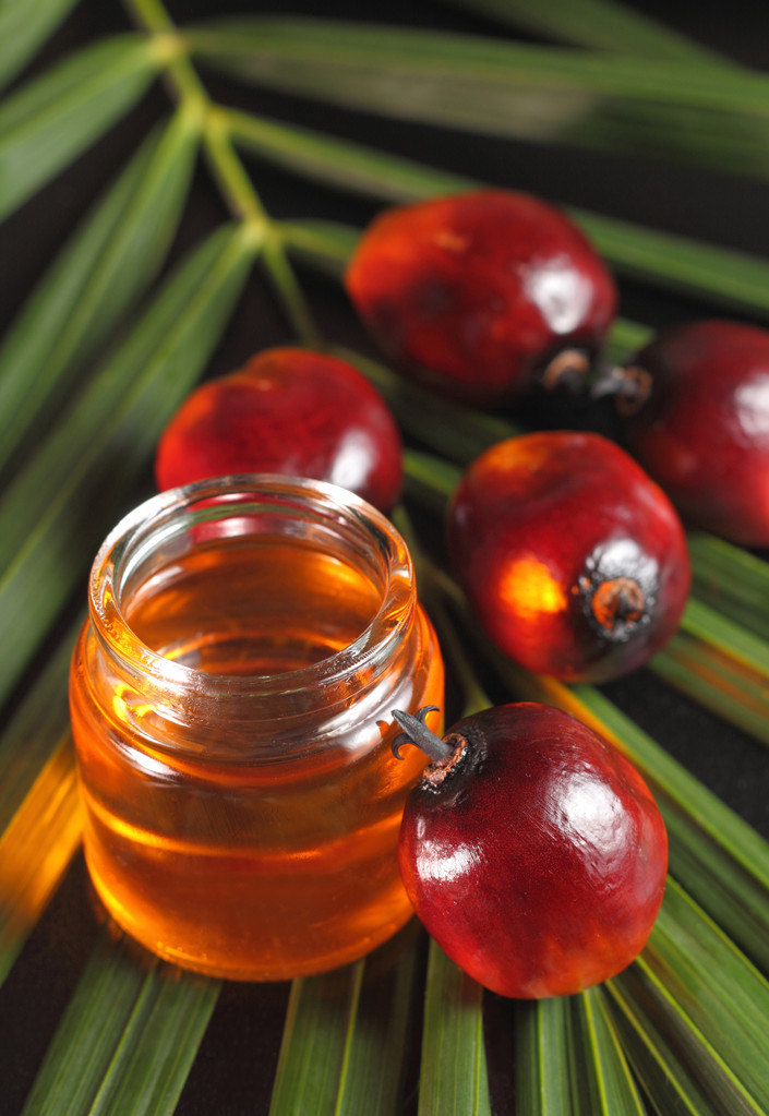 库存仍处于同期偏高位置 预计棕榈油期货震荡偏弱