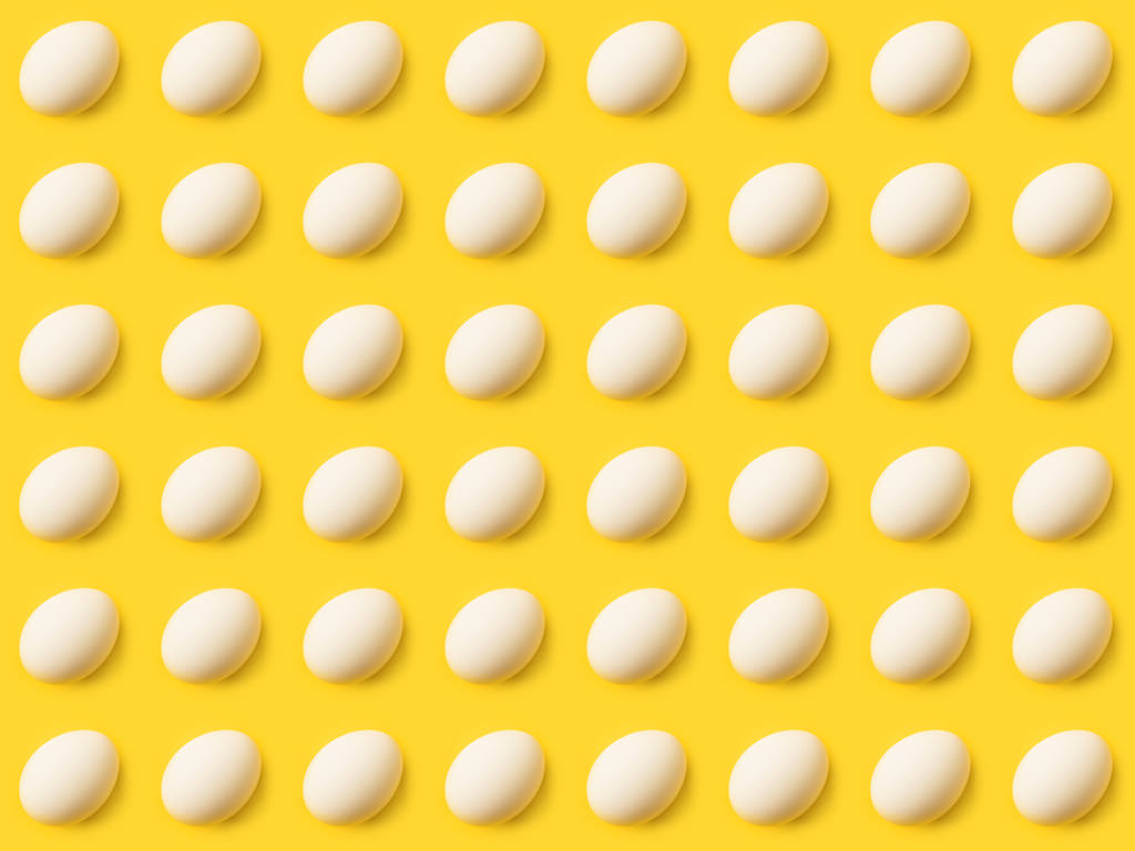 食品企业进入中秋备货状态 预计蛋价将维持高位