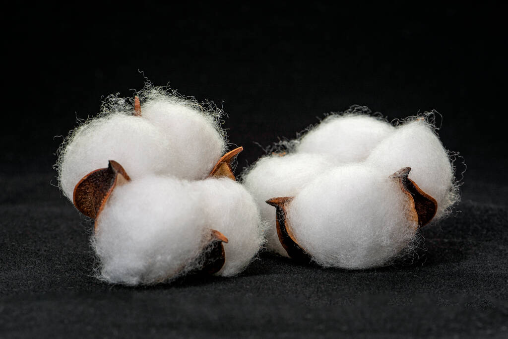 棉花价格暂无破局动力 美棉优良率续刷新低