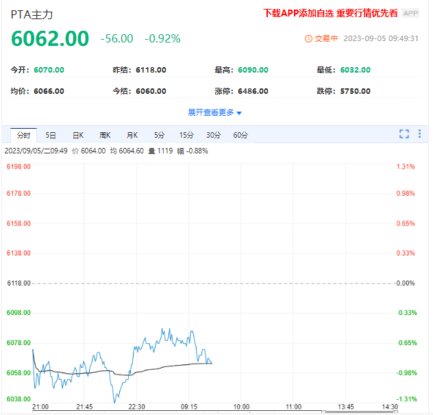 成本端有下行风险 PTA主力小幅走低