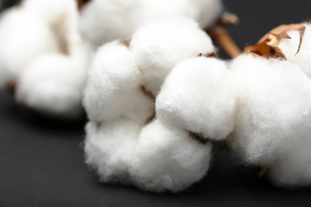 棉花价格宽幅震荡为主 美棉优良率环比下降