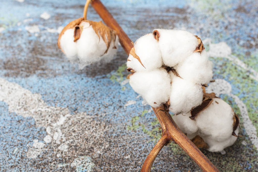 海外订单明显下降 预计棉花期货维持宽幅震荡