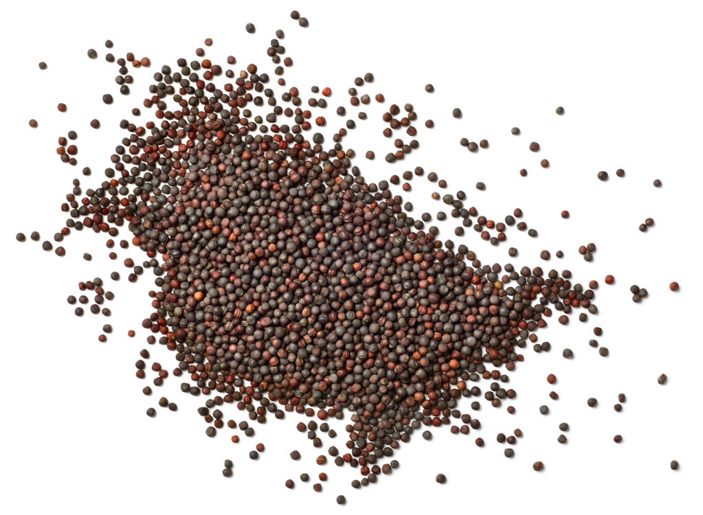 国内逐渐进入需求淡季菜籽粕期货看空观点暂不变