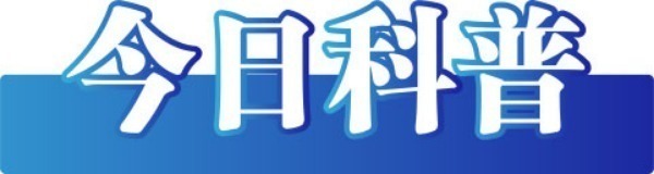 （2023年12月4日）今日辟谣：重庆养老待遇资格须在固定时间内认证？ 