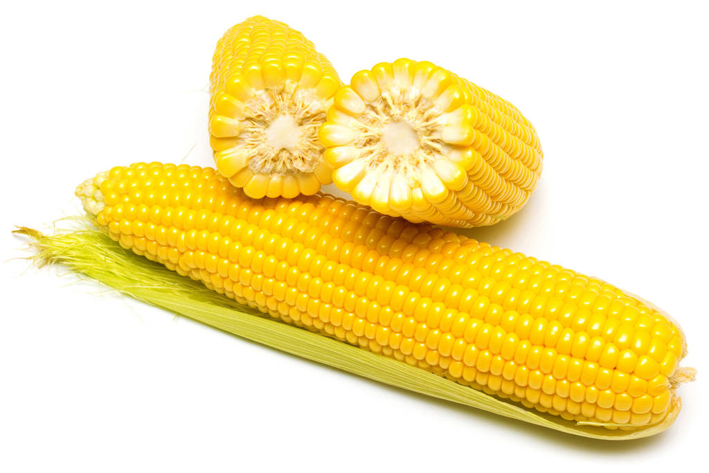 最新玉米期货行情 谷物市场暂处于供需宽松态势