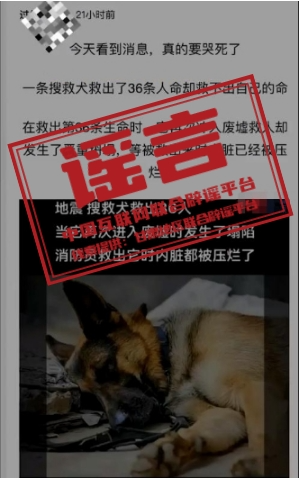 （2023年12月26日）今日辟谣：甘肃积石山地震中搜救犬救出36条人命后牺牲？