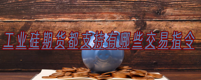 工业硅期货都支持有哪些交易指令