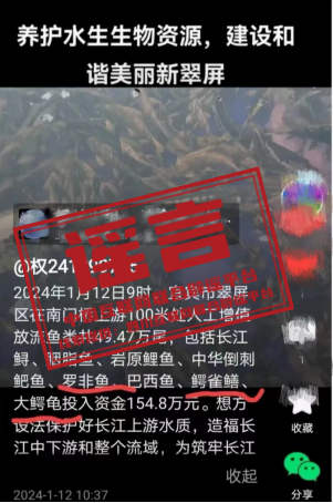 （2024年1月15日）今日辟谣：四川宜宾出现往长江放生鳄雀鳝情况？